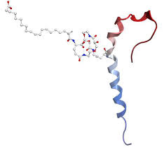 Tirzepatide GIP/GLP1 update